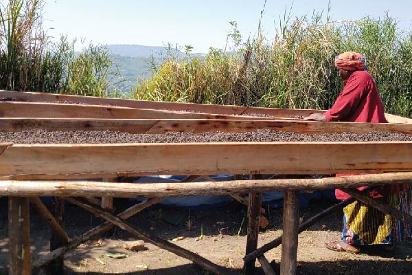 Coffee Roasting and Packaging